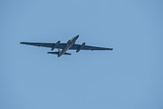 U2 dragon lady Photograph by Keith Homan
