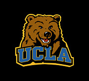 UCLA Bruins softball Drawing by Rudy Nichols