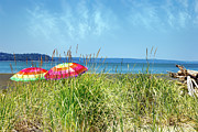 Umbrellas on the Jetty Island Beach During Summer Photograph by Cindy Shebley Umbrellas on the Jetty Island Beach During Summer Photograph by Cindy Shebley