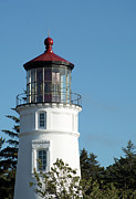 Umpqua River Lighthouse Oregon Photograph by Bruce Gourley