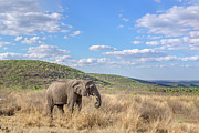 Under the African Sky Photograph by Robert Miller Under the African Sky Photograph by Robert Miller