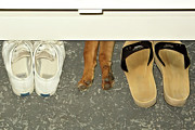 Under The Bench Photograph by Kathy K McClellan