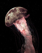 Underside of the Moon Digital Art by Nikki Marie Smith