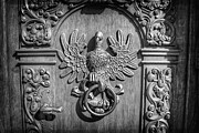 Unique Bird Door Knocker Gdansk Poland Black and White  Photograph by Carol Japp