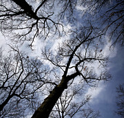 Unsettled Skies - February 2024 Photograph by Joseph A Langley
