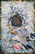Untitled_abstract_00ac Photograph by Paul Vitko