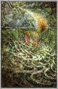 Untitled_and Photograph by Paul Vitko Untitled_and Photograph by Paul Vitko
