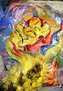Untitled_oabd Photograph by Paul Vitko