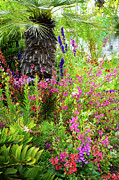 Urban Jungle Photograph by NL Galbraith