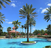 Urban Oasis Florida Photograph by Svilenka Dankova Urban Oasis Florida Photograph by Svilenka Dankova