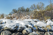 Urban Snow Scene Photograph by Cate Franklyn