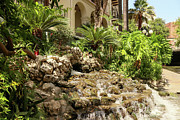 Tropical Paradise - Serenity Amidst San Antonio's River Walk Photograph by Brigitte Blanchette Thompson Tropical Paradise - Serenity Amidst San Antonio's River Walk Photograph by Brigitte Blanchette Thompson