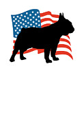 USA French Bulldog Patriotic Frenchie American Flag Digital Art by Jacob Zelazny