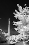 USC Smokestack B and W Photograph by Charles Hite