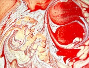 Utopia On Fire Painting by Megan Hale