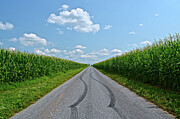 Vanishing Point Photograph by Tana Reiff