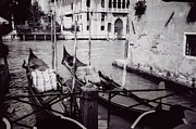 Venetian Gondolas Photograph by Matthew Adelman