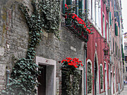 Venice Flower Box - Faded  Photograph by Leslie Brashear