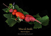 Venus du Jardin Photograph by Nancy Griswold