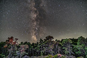 Vertical Photograph by Daniel Hayes