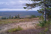 View from Kirk Hill Across to Cape Split Photograph by Alan Norsworthy