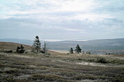 View over the Minas Basin from Kirk Hill Photograph by Alan Norsworthy