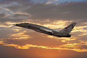 Vigilante in the Sunset Photograph by Erik Simonsen