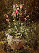 Vintage Planter Photograph by Jessica Jenney