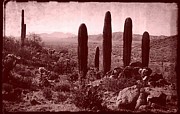 Vintage View of Table Top Mountain Photograph by Judy Kennedy