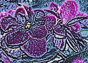 Violart Digital Art by Vallee Johnson