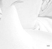 W H I T E  Photograph by Viva Anderson