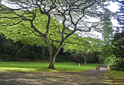 Waimea Falls Park, Oahu Photograph by Ron Long