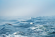 Waking Waves Abstract Photograph by Dawna Moore Photography