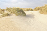 Walk Along the Sand Photograph by Ana V Ramirez