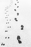 Walking the Dog Photograph by Thomas Hall