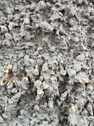 Wall Gold Photograph by Edward Lee