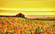 Warm Yellow Sunset Over the Cornfields by the Sea Photograph by Marco Sales Photography Warm Yellow Sunset Over the Cornfields by the Sea Photograph by Marco Sales Photography