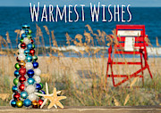 Warmest Wishes Beach Christmas Card Photograph by Dawna Moore Photography