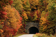 Wash Creek Valley Tunnel on Blue Ridge Parkway Photograph by Joni Eskridge Wash Creek Valley Tunnel on Blue Ridge Parkway Photograph by Joni Eskridge