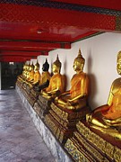 Wat Pho Buddhas Photograph by Matthew Adelman