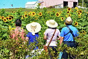 Watching the Flowers Photograph by Addison Likins Watching the Flowers Photograph by Addison Likins
