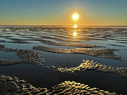 Watching With Awe As Glory Of Sunset Unfolds Photograph by Tanya Filichkin