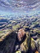 Water and Rocks 1 - Upper Delaware River Photograph by Amelia Pearn