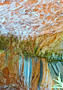 Water Colors Photograph by Mae Wertz
