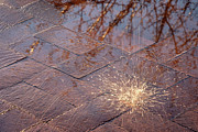 Water Falling On Brick Photograph by Mary Lee Dereske