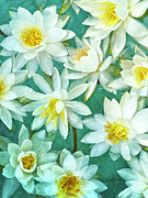 Water Lily Bouquet Photograph by Jill Love