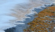 Water meets winter Photograph by Nicola Finch Water meets winter Photograph by Nicola Finch