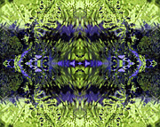 Water Spirits of Wilson Creek #3 in 8x10 format Photograph by Ben Upham III Water Spirits of Wilson Creek #3 in 8x10 format Photograph by Ben Upham III
