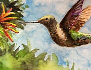 Watercolor Hummingbird Painting by Larry Whitler Watercolor Hummingbird Painting by Larry Whitler