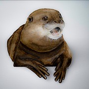 Watercolor Otter Painting by Shelly Pritchard